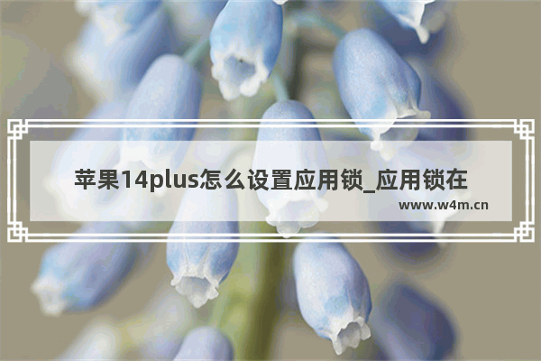 苹果14plus怎么设置应用锁_应用锁在哪开