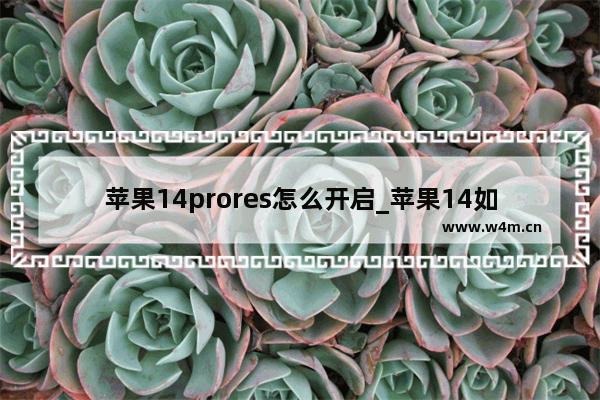 苹果14prores怎么开启_苹果14如何打开prores