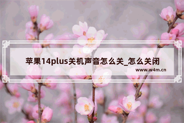 苹果14plus关机声音怎么关_怎么关闭关机声音