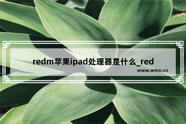 redm苹果ipad处理器是什么_redm苹果ipad是什么芯片