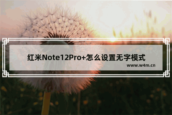 红米Note12Pro+怎么设置无字模式_如何设置无字模式