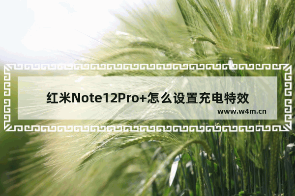 红米Note12Pro+怎么设置充电特效_如何设置充电特效