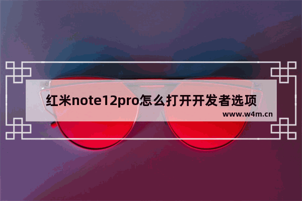 红米note12pro怎么打开开发者选项_如何进入开发者选项