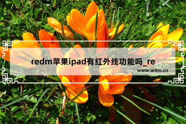 redm苹果ipad有红外线功能吗_redm苹果ipad支持红外遥控吗