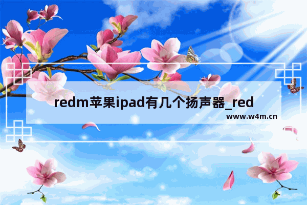 redm苹果ipad有几个扬声器_redm苹果ipad是四扬声器吗