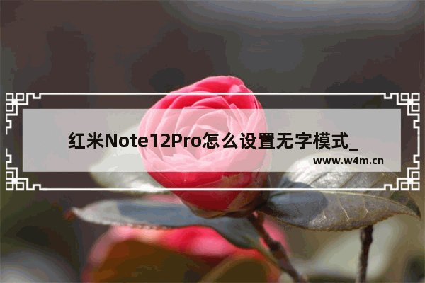 红米Note12Pro怎么设置无字模式_无字模式在哪