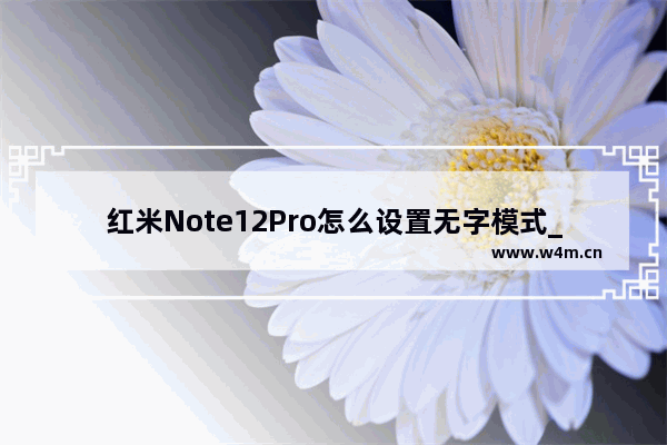 红米Note12Pro怎么设置无字模式_无字模式在哪