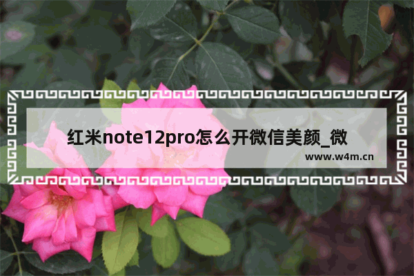 红米note12pro怎么开微信美颜_微信美颜在哪里