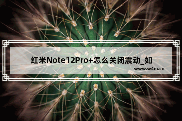 红米Note12Pro+怎么关闭震动_如何关闭震动