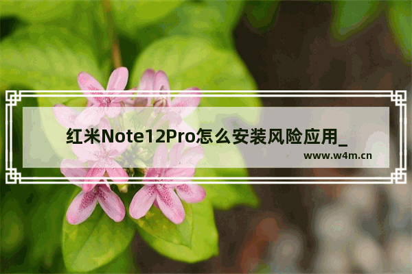 红米Note12Pro怎么安装风险应用_如何安装风险应用