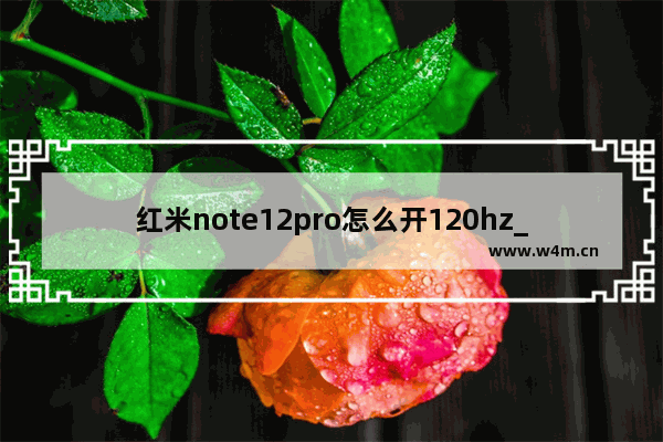 红米note12pro怎么开120hz_在哪调120hz