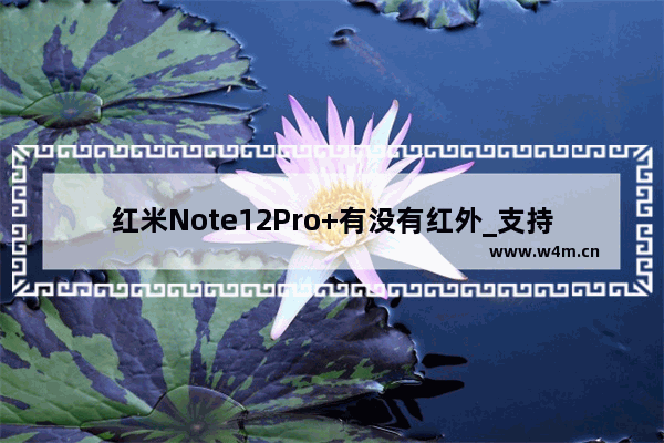 红米Note12Pro+有没有红外_支持红外遥控吗