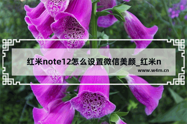 红米note12怎么设置微信美颜_红米note12如何设置微信美颜