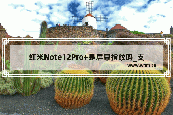 红米Note12Pro+是屏幕指纹吗_支持屏幕指纹吗