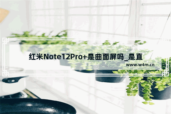 红米Note12Pro+是曲面屏吗_是直屏还是曲屏