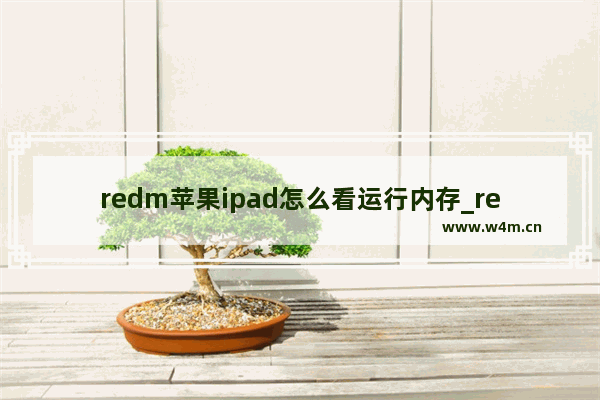 redm苹果ipad怎么看运行内存_redm苹果ipad如何看运行内存