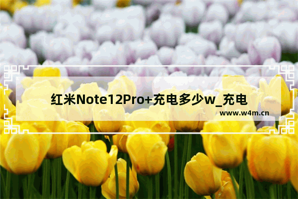 红米Note12Pro+充电多少w_充电功率多大