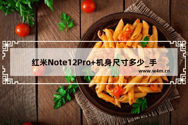 红米Note12Pro+机身尺寸多少_手机多大