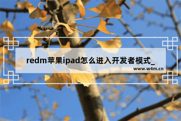 redm苹果ipad怎么进入开发者模式_redm苹果ipad如何开启开发者模式