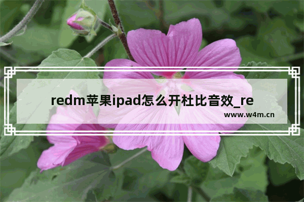 redm苹果ipad怎么开杜比音效_redm苹果ipad杜比音效设置