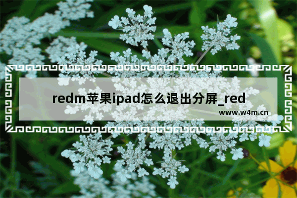 redm苹果ipad怎么退出分屏_redm苹果ipad分屏模式怎么关闭