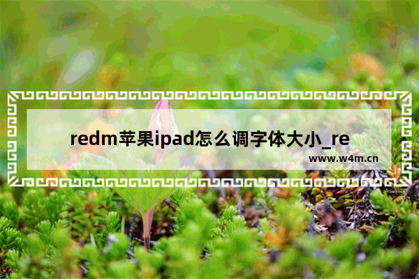 redm苹果ipad怎么调字体大小_redm苹果ipad字体大小设置方法