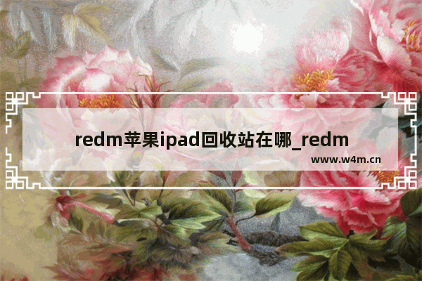 redm苹果ipad回收站在哪_redm苹果ipad找到相册回收站