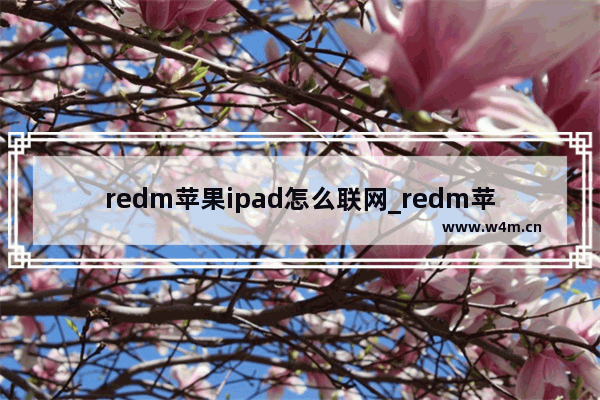 redm苹果ipad怎么联网_redm苹果ipad怎么连接网络