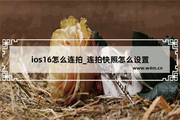 ios16怎么连拍_连拍快照怎么设置