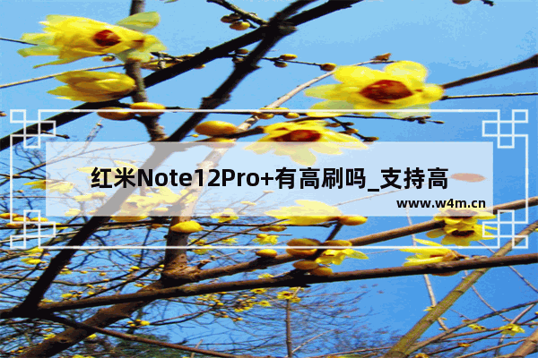 红米Note12Pro+有高刷吗_支持高刷吗