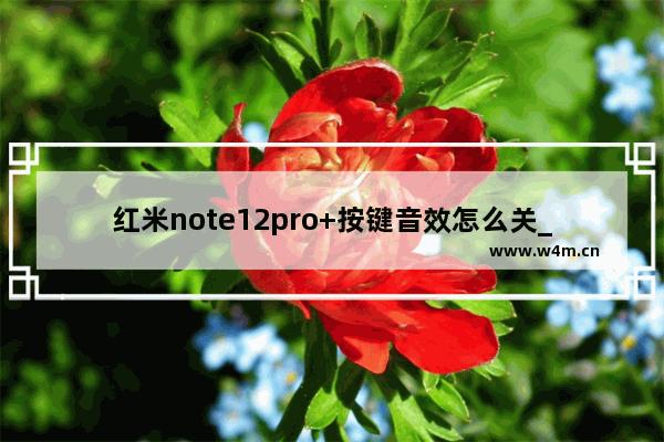 红米note12pro+按键音效怎么关_按键音效如何关