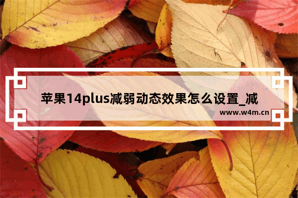 苹果14plus减弱动态效果怎么设置_减弱动态效果在哪