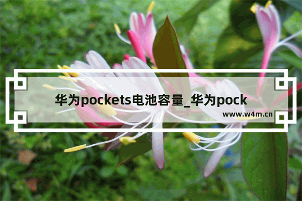 华为pockets电池容量_华为pockets电池多大