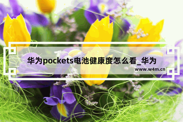 华为pockets电池健康度怎么看_华为pockets怎么看电池健康度