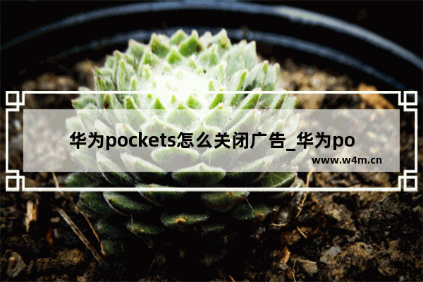 华为pockets怎么关闭广告_华为pockets如何关闭广告