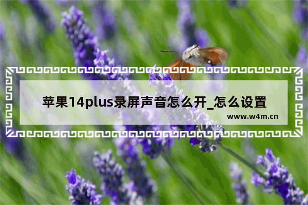 苹果14plus录屏声音怎么开_怎么设置录屏声音