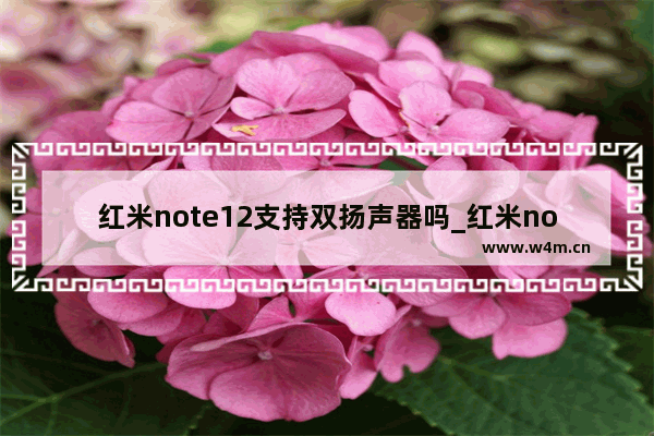 红米note12支持双扬声器吗_红米note12是双扬声器吗