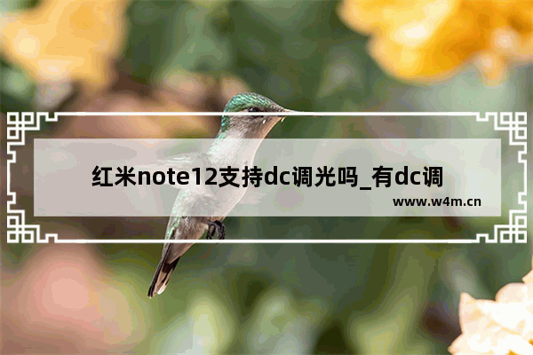 红米note12支持dc调光吗_有dc调光吗