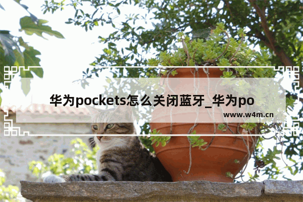 华为pockets怎么关闭蓝牙_华为pockets如何关闭蓝牙