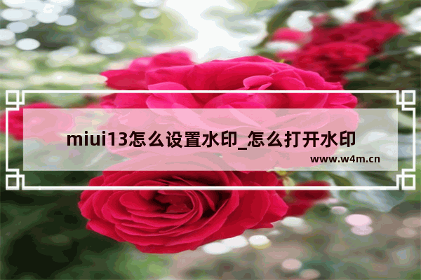 miui13怎么设置水印_怎么打开水印