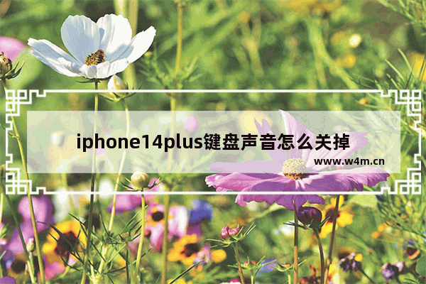 iphone14plus键盘声音怎么关掉_怎么关闭打字声音