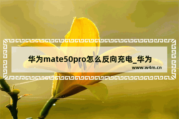 华为mate50pro怎么反向充电_华为mate50pro如何反向充电