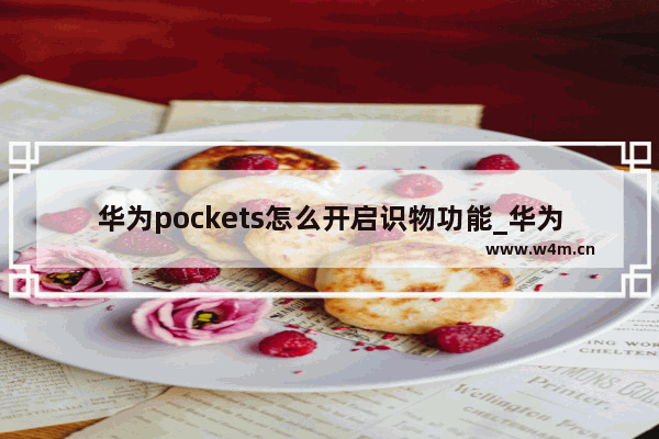 华为pockets怎么开启识物功能_华为pockets识物功能怎么使用