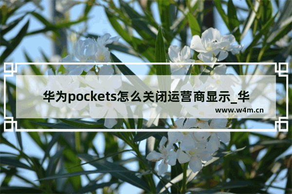 华为pockets怎么关闭运营商显示_华为pockets如何关闭运营商显示