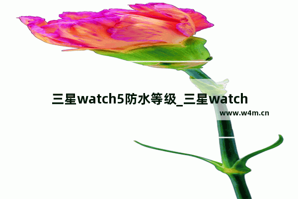 三星watch5防水等级_三星watch5防水吗