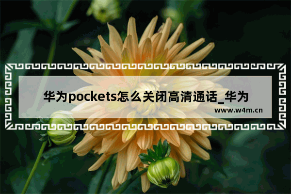 华为pockets怎么关闭高清通话_华为pockets如何关闭高清通话