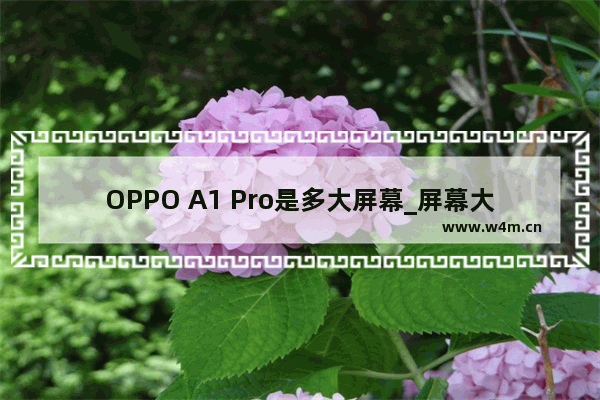 OPPO A1 Pro是多大屏幕_屏幕大小