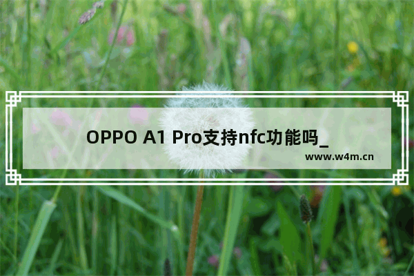 OPPO A1 Pro支持nfc功能吗_有nfc功能吗