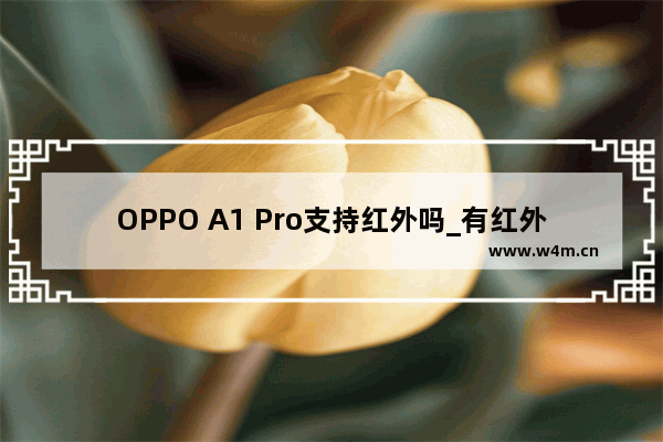 OPPO A1 Pro支持红外吗_有红外吗