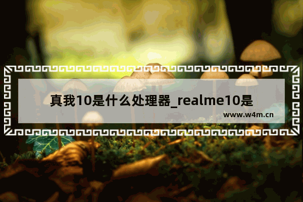 真我10是什么处理器_realme10是什么处理器